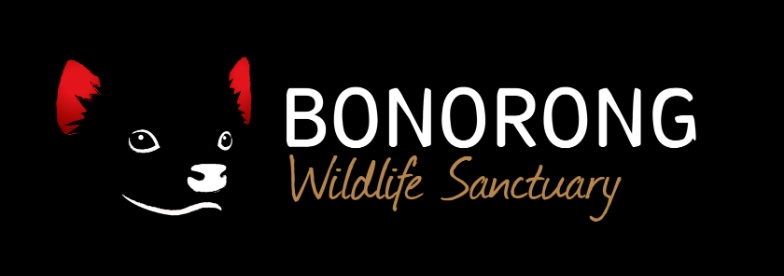 Bonorong Wildlife Sanctuary Blog Image 1