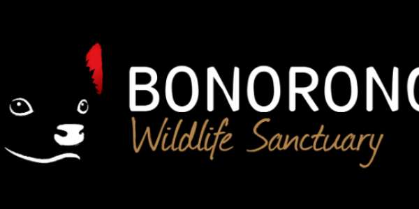 Introducing...the Bonorong Wildlife Sanctuary build