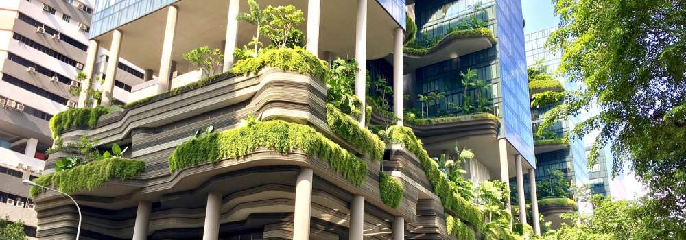 Building with greenery on balcony